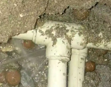 临洮测漏水多少钱