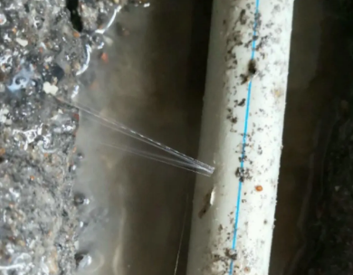 临洮测漏水哪家好