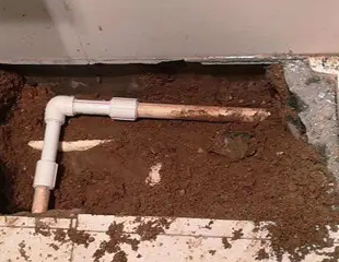 临洮测漏水哪家好