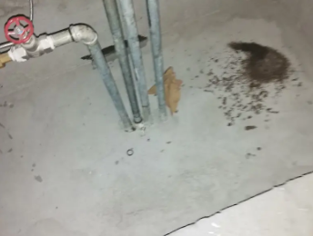 临洮卫生间测漏水价格明细